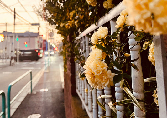 Daily life in Japan: Slow down and appreciate the gentle touches